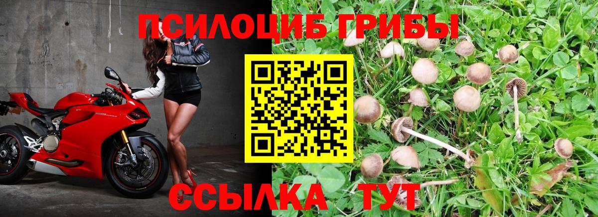 Псилоцибиновые грибы прущие грибы  Вход с VPN  Галлюциногенные грибы ЛСД  Ростов Великий 
