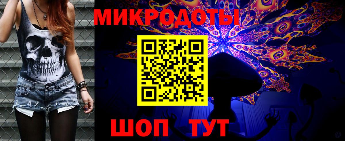 Галлюциногенные грибы Psilocybe Ростов Великий